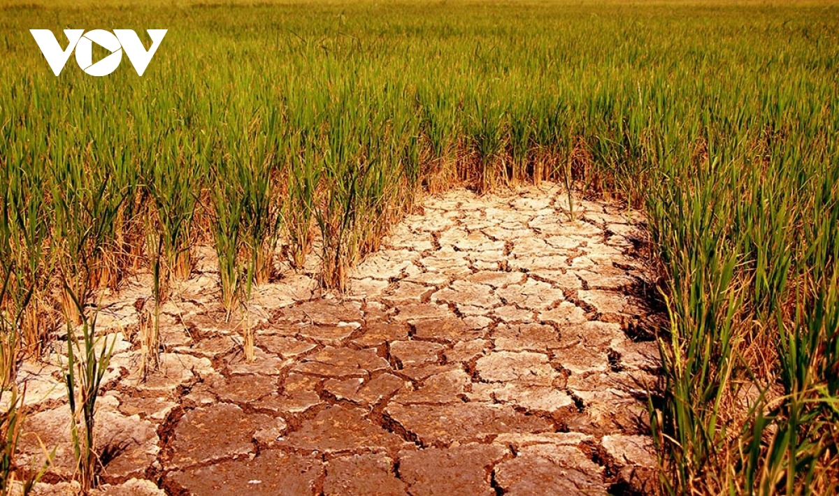 Potential “Super El Nino” in 2026: What could it mean for Vietnam?